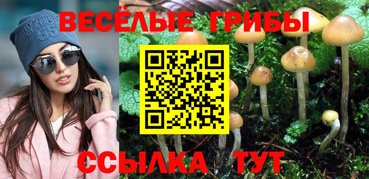 Псилоцибиновые грибы Magic Shrooms  цена   Вход с VPN  Коряжма  Галлюциногенные грибы Cubensis 